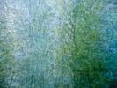 Blau - Thorsten Nerling